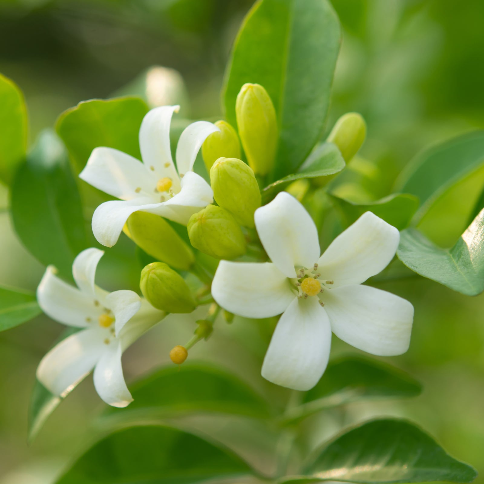 1_a130400f-7aa0-4eb7-9436-