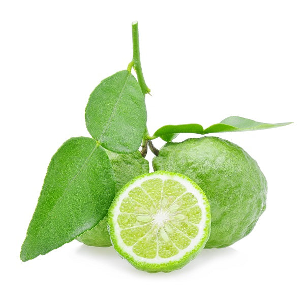 ベルガモットFCF | エッセンシャルオイル 精油 | アローム＆パルファン